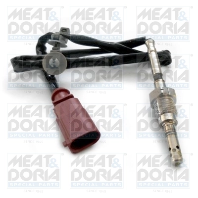 Sensor, exhaust gas temperature